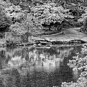 The Pond At Central Park Art Print