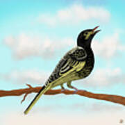 The Regent Honeyeater - Birds Of Australia Art Print