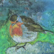 The Robin Bird Art Print