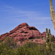 The Saguaro Cacti And Red Rocks Art Print