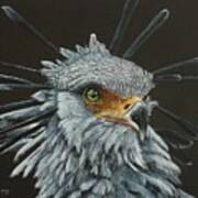 The Secretary Bird Art Print