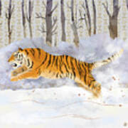 The Siberian Tiger Running In The Snow Art Print