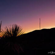 The Silhouette Of A Cactus At Sunset Art Print