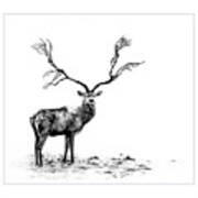 The Stag Art Print