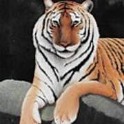The Tiger King Art Print