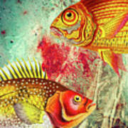 Thoroughfare Two Fish In Transit Art Print