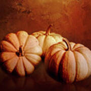 Three Pumpkins In Color Art Print