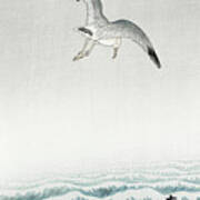 Three Seagulls Art Print