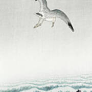 Three Seagulls Art Print