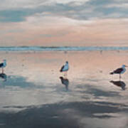 Three Seagulls On The Beach Art Print