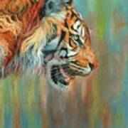 Tiger 2 Vibrant Series Art Print