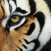 Tiger Eye Art Print