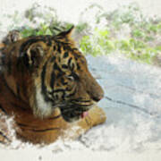 Tiger Portrait With Textures Art Print