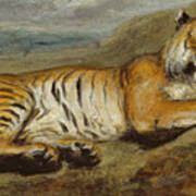 Tiger Resting Art Print