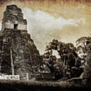 Tikal Abandoned Revisited Art Print