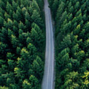 Top View Of Dark Evergreen Forest Landscape. Art Print