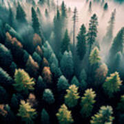 Top View Of Dark Green Forest Landscape Art Print