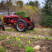 Tractor And Daffodils Art Print
