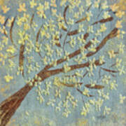 Tree Blossoms Art Print