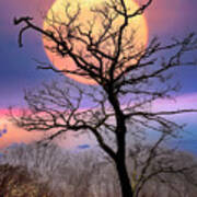 Tree In The Moon Appalachian Trail Art Print