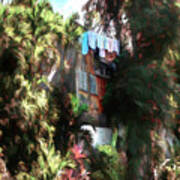 Treehouse Washline In Dominica Art Print