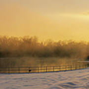 Trexler Park Pond Foggy Winter Sunrise Art Print