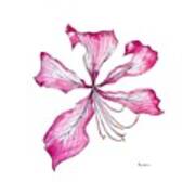 Tropical Flower In Quinacridone Magenta Art Print