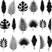 Tropical Leaf Silhouettes Set Art Print