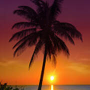 Tropical Sunrise Art Print