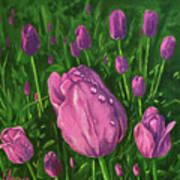 Tulip Garden Art Print