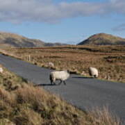 Tully Road Connemara Art Print