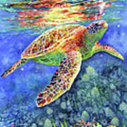 Turtle Reflections-pastel Colors Art Print