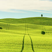 Tuscany, The Rolling Green Hills Of Val D'orcia Art Print