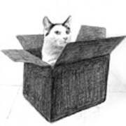 Tuxedo Cat In A Box Art Print