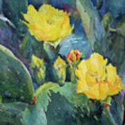 Cactus Blossoms At Twilight Art Print