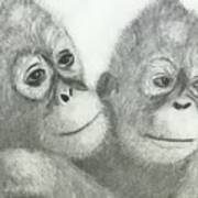 Two Monkeys Art Print