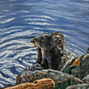 Two Otters Victoria Bc Art Print