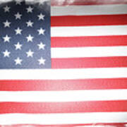 Usa Flag Art Print