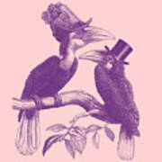 Victorian Hornbills In Pink And Purple Art Print