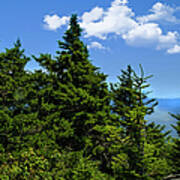 View From Grandfather Mountain Art Print
