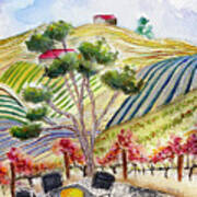 View From The Patio At Gershon Bachus Vintners Art Print