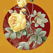 Vintage Botanical Yellow Rose On Circle Red On Yellow Art Print