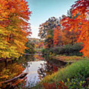 Vivid Colors Of Autumn 4 Art Print