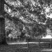 Waiting In The Fall Black And White Art Print