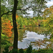 Walden Pond In Central Park Art Print