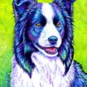 Watchful Eye - Colorful Border Collie Dog Art Print