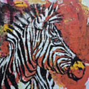 Watchful Zebra Art Print