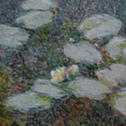 Water Lilies Nr 24 Art Print