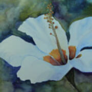 Watercolor Lily Art Print