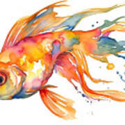 Watercolor Painting, Goldfish, Vector Illustration, Isolated On Art Print